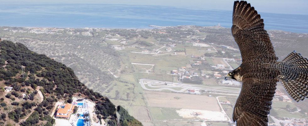 Veduta aerea del Residence Il Falco a Vieste sul Gargano